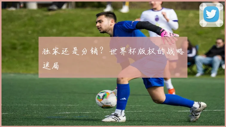 独家还是分销？世界杯版权的战略迷局