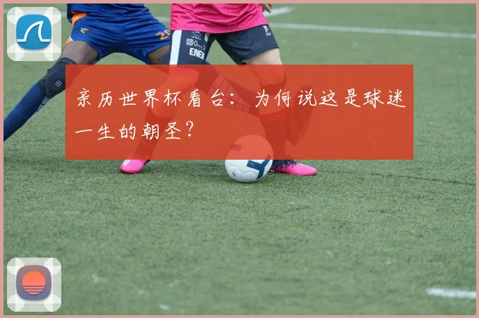 亲历世界杯看台:为何说这是球迷一生的朝圣?