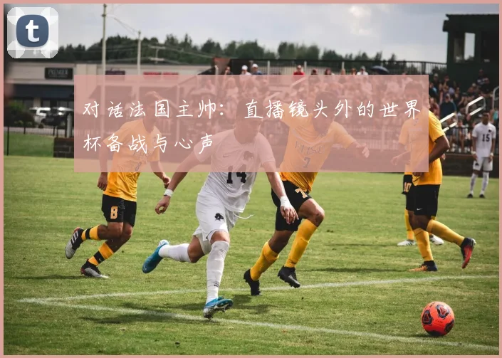 对话法国主帅：直播镜头外的世界杯备战与心声