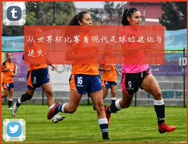 从世界杯比赛看现代足球的进化与迷失
