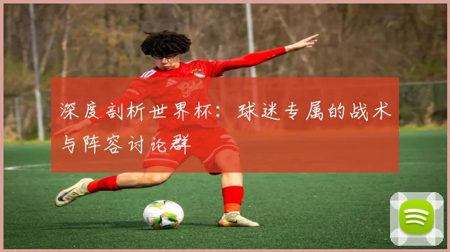 深度剖析世界杯：球迷专属的战术与阵容讨论群