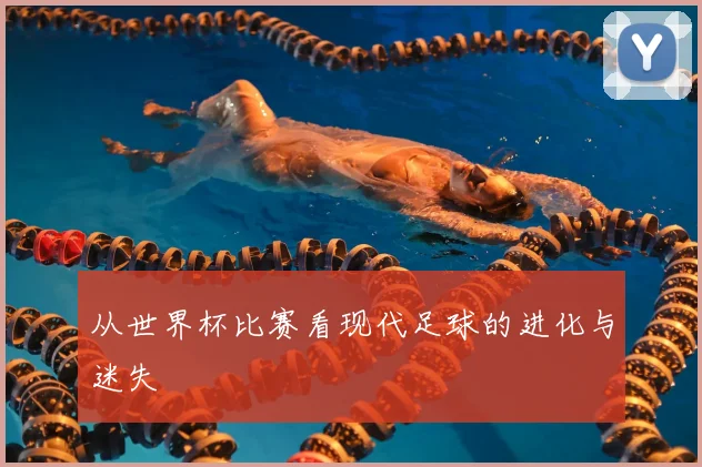 从世界杯比赛看现代足球的进化与迷失