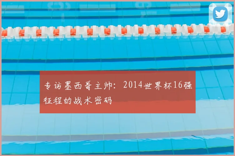 专访墨西哥主帅：2014世界杯16强征程的战术密码
