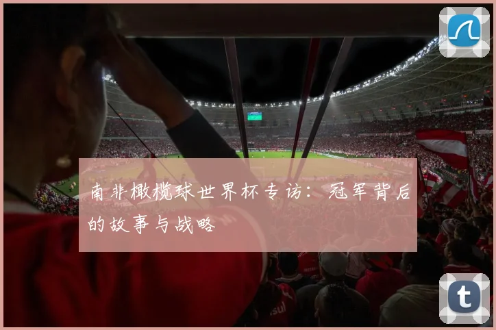 南非橄榄球世界杯专访:冠军背后的故事与战略