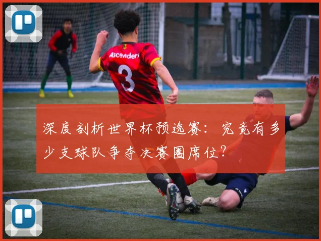 深度剖析世界杯预选赛：究竟有多少支球队争夺决赛圈席位？