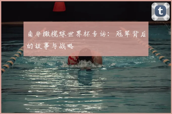 南非橄榄球世界杯专访：冠军背后的故事与战略