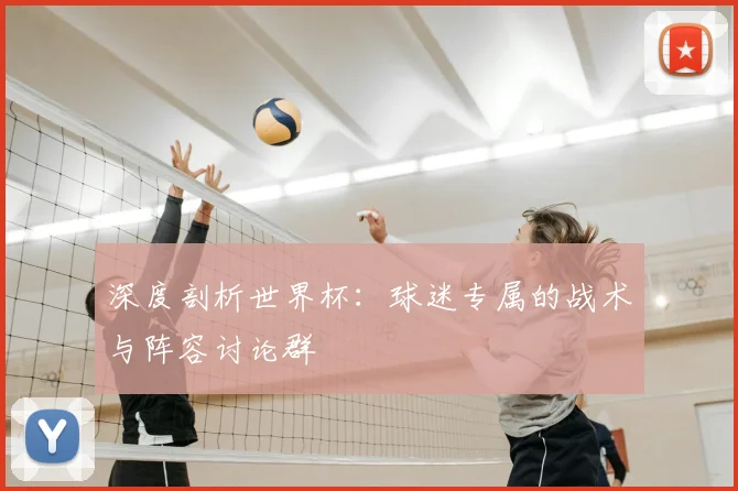 深度剖析世界杯：球迷专属的战术与阵容讨论群