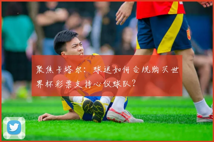 聚焦卡塔尔：球迷如何合规购买世界杯彩票支持心仪球队？