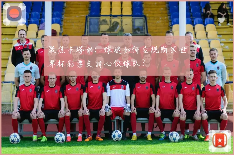 聚焦卡塔尔：球迷如何合规购买世界杯彩票支持心仪球队？