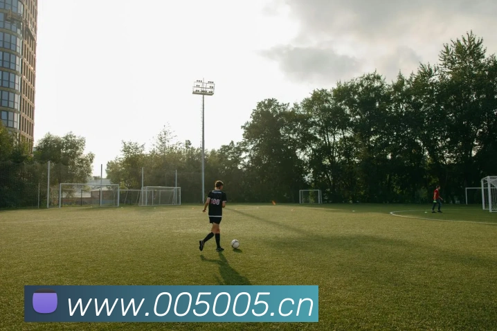 多媒体互动体验